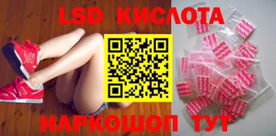 герыч Кингисепп