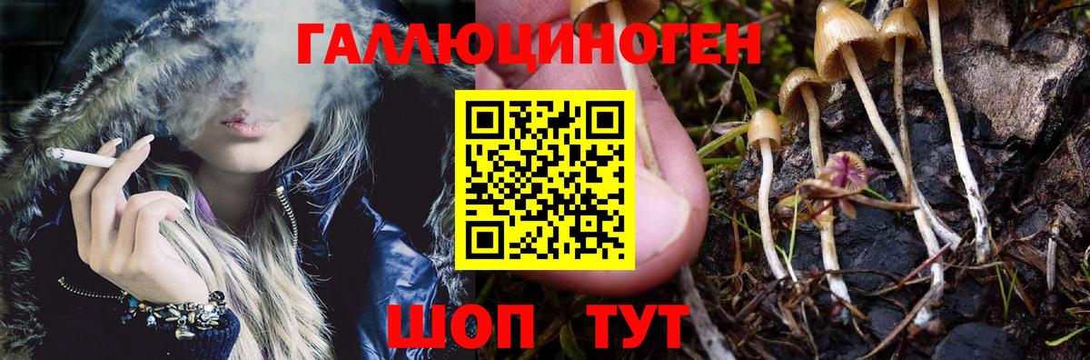 Псилоцибиновые грибы Cubensis  Псилоцибиновые грибы мухоморы  Вход с VPN  Красноармейск 